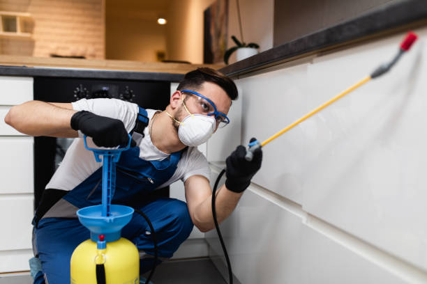 Best Pest Control Near Me  in Llington, MI