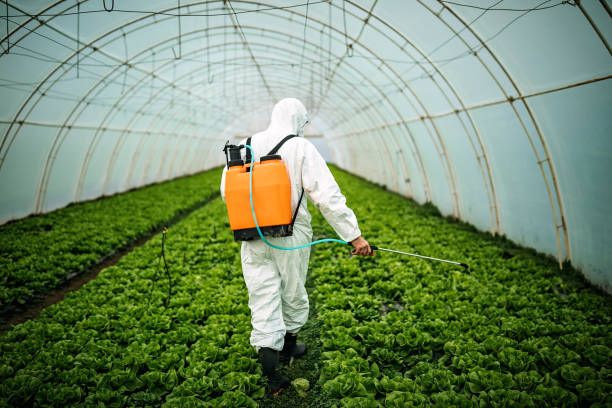 Best Pest Control for Homes  in Llington, MI