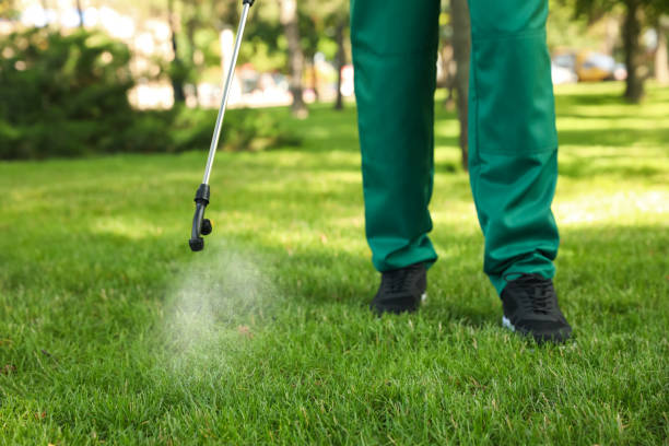 Best Residential Pest Control  in Llington, MI