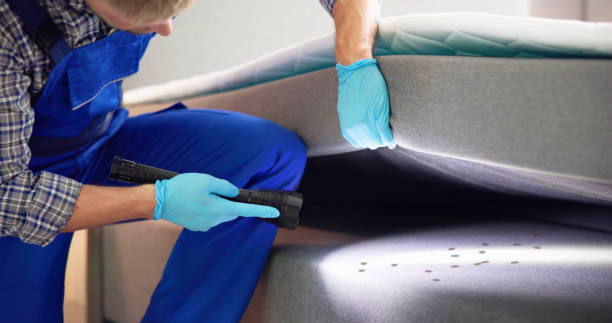 Trusted Millington, MI Pest Control Experts